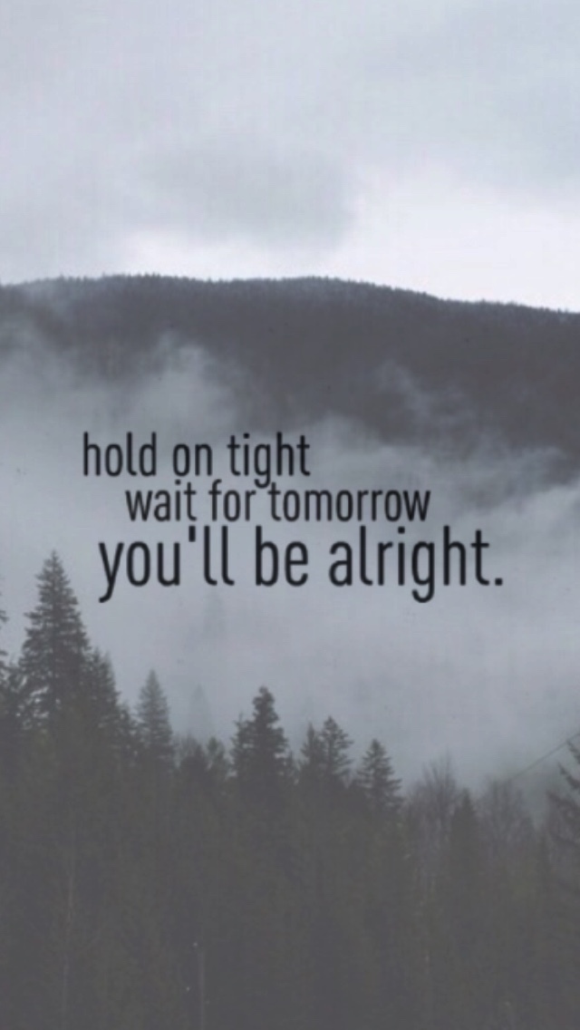 Wallpaper And Lockscreen Image - Shortleaf Black Spruce - HD Wallpaper 