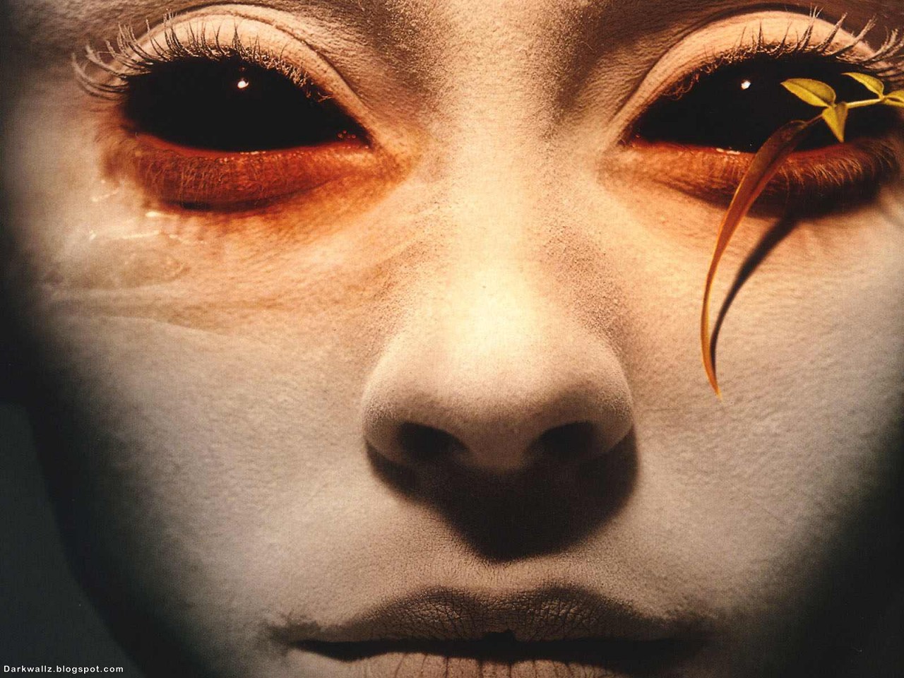 Scary Eyes Wallpapers - Dave Mckean - HD Wallpaper 