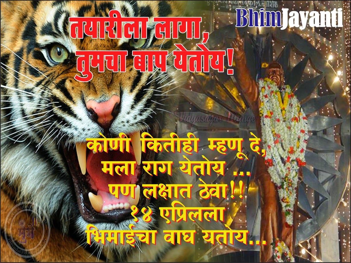 Angry Tiger 10x900 Wallpaper Teahub Io