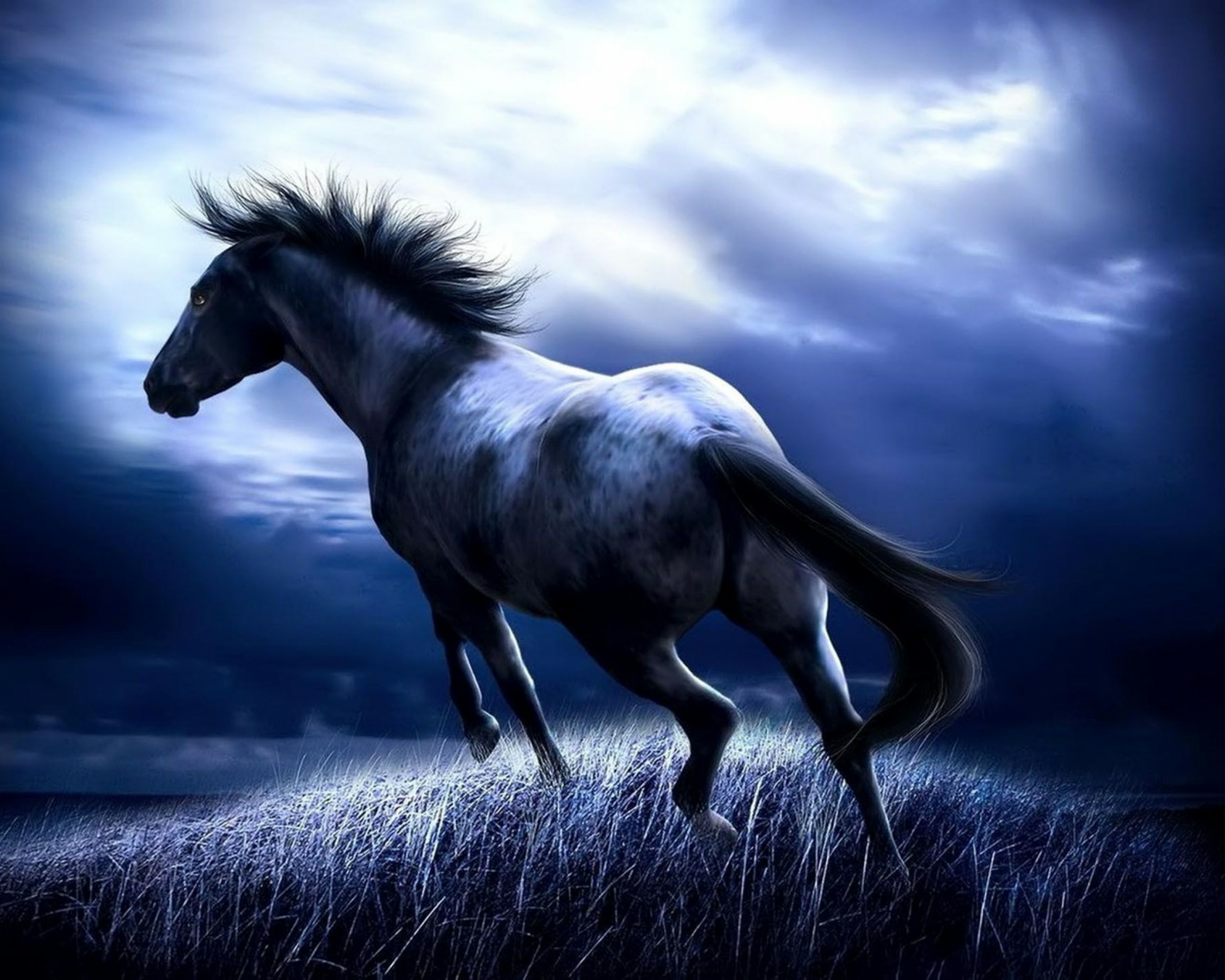 Scenery Of Night Horse - HD Wallpaper 