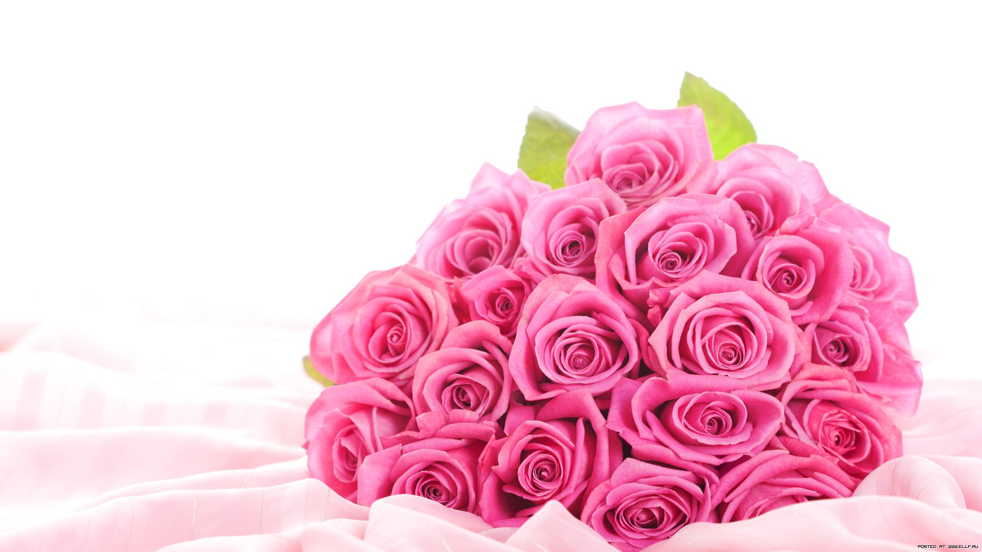 Pink Bouquet Rose Flower - HD Wallpaper 