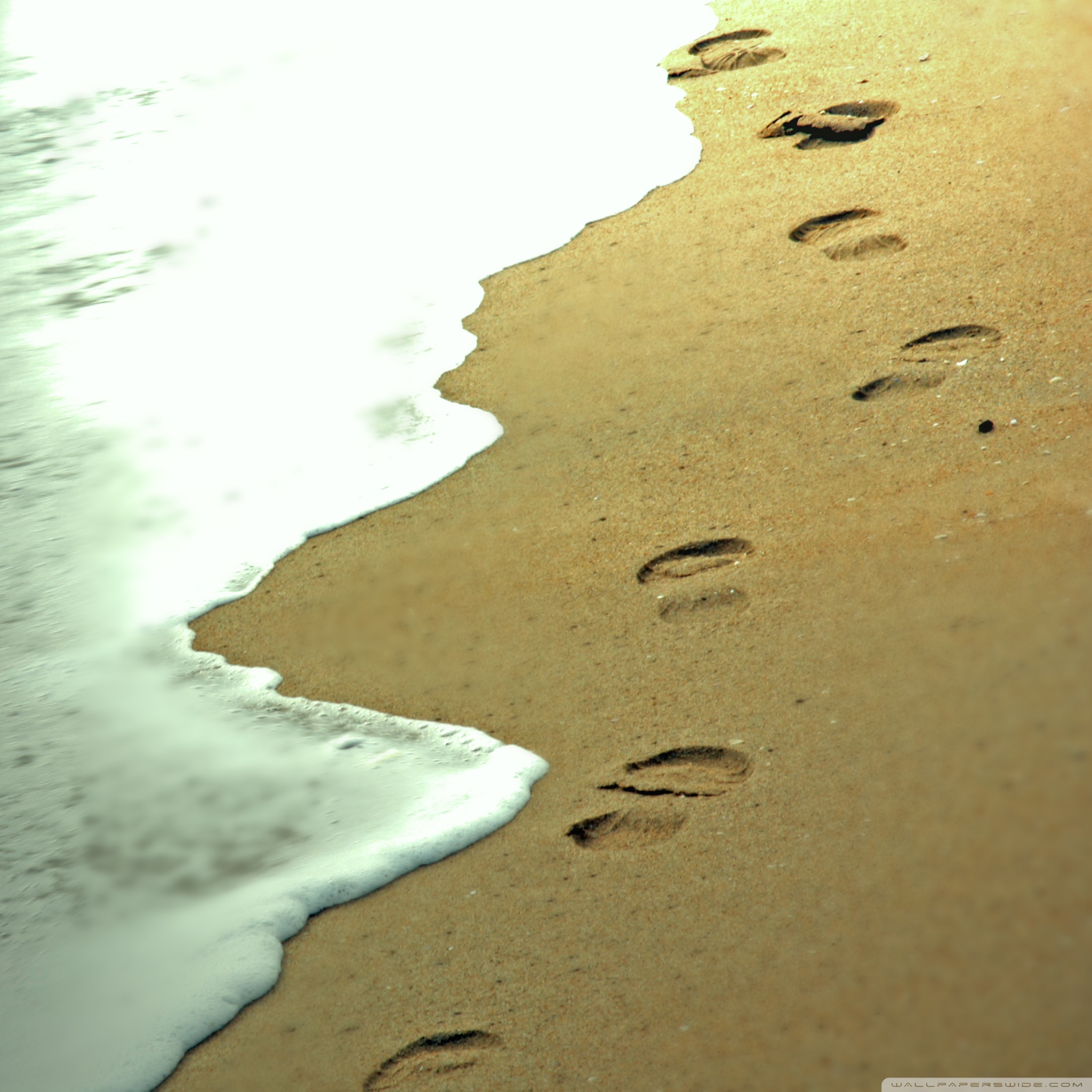 Footprints In The Sand Hd - HD Wallpaper 