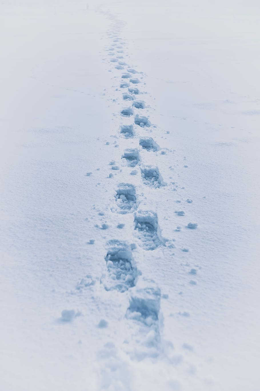Footprint In Snow, Footsteps On Snow, Boot, Impression, - Footprints In The Snow Hd - HD Wallpaper 