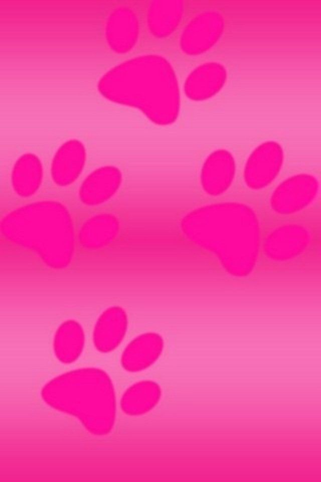 Beautiful Paw Print Wallpapers Hd Quality - Girly Paw Print Background - HD Wallpaper 