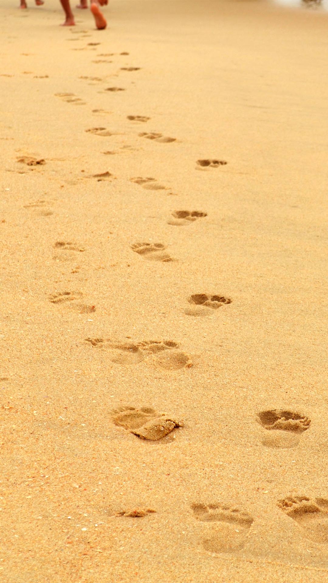 Footprints On Beach- Wallpaper For Iphone - Meditation Goals - HD Wallpaper 
