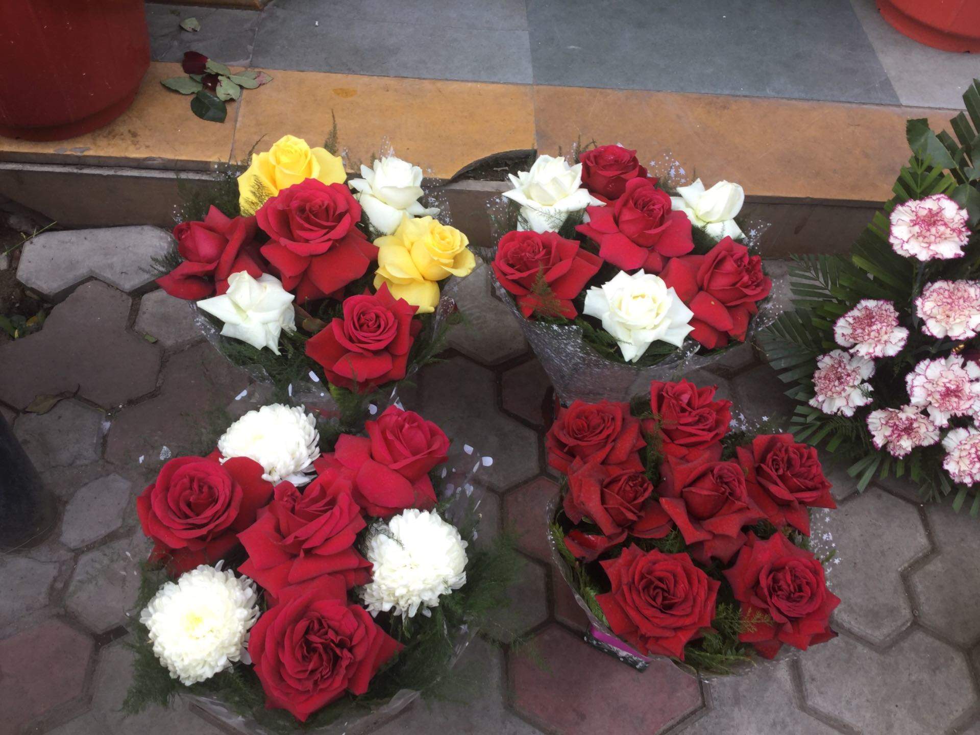 Garden Roses - HD Wallpaper 