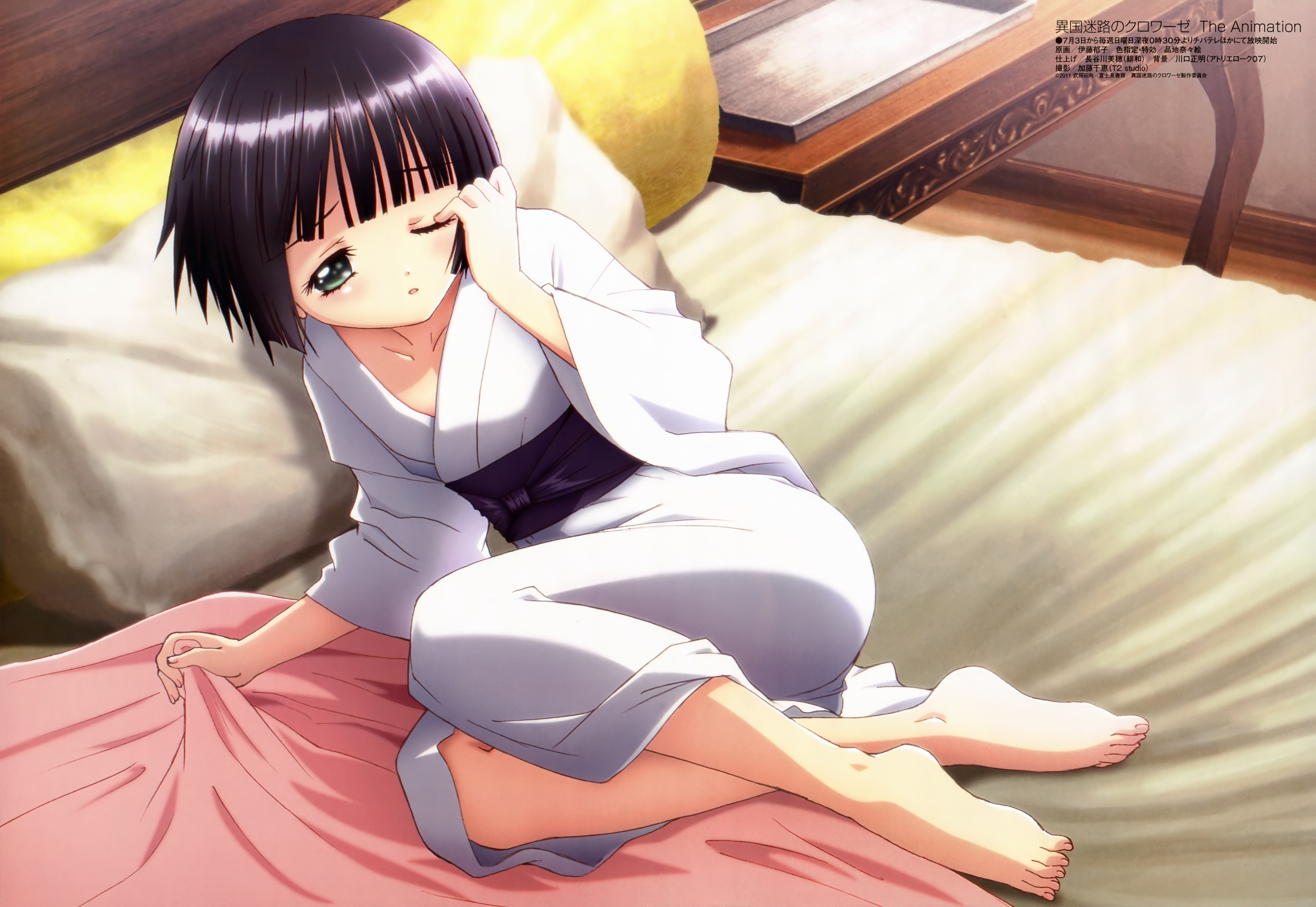 Wallpaper - Anime Ecchi Girl Feet - 5920x4082 Wallpaper 