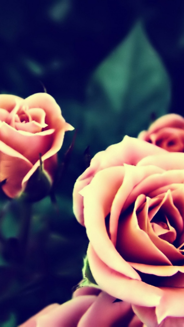 Best Wallpapers For Instagram - 640x1136 Wallpaper Best Wallpapers For Instagram - 640x1136 Wallpaper