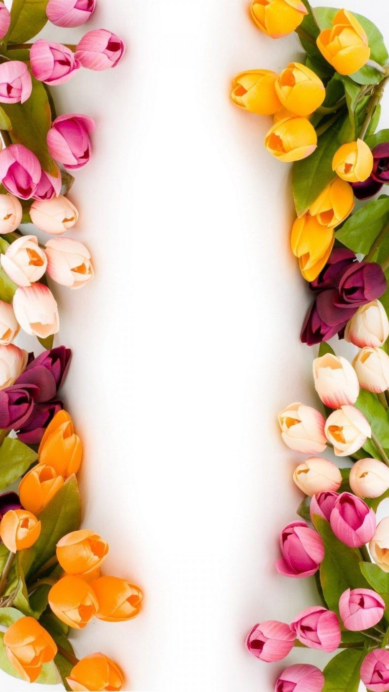 Flower Wallpaper For Iphone - HD Wallpaper 