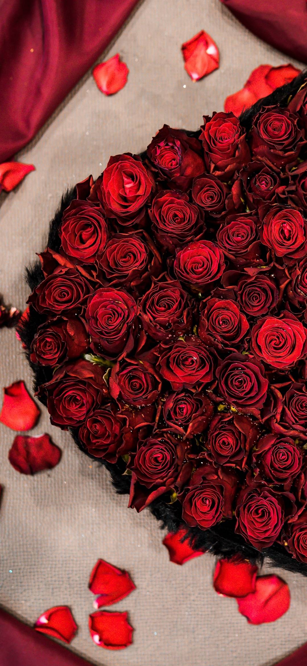 Flower Wallpaper Hd For Phone 091 - Latest Images Of Love - 1080x2340 Wallpaper Flower Wallpaper Hd For Phone 091 - Latest Images Of Love - 1080x2340 Wallpaper