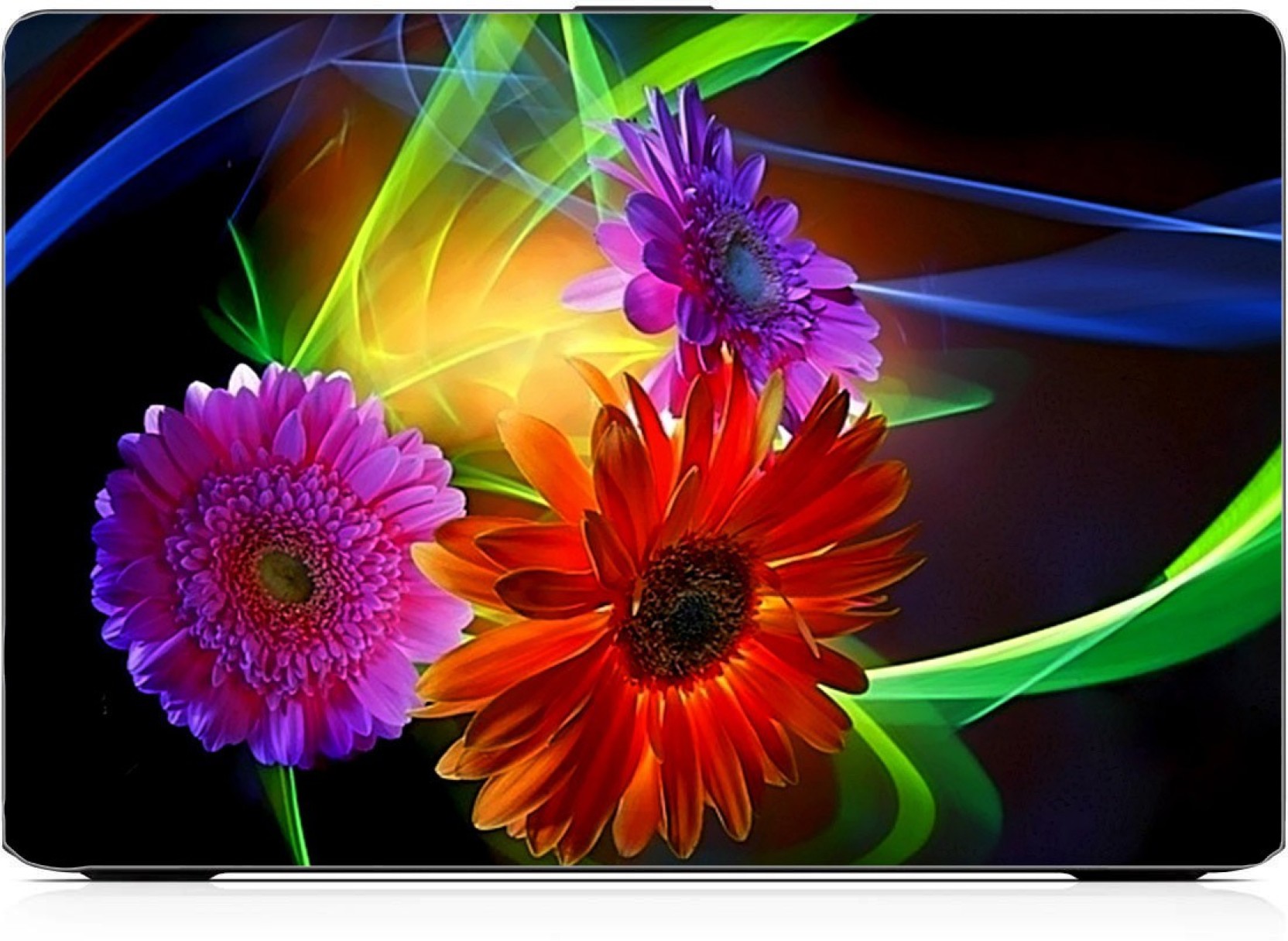 Skin Flower Wallpaper Hd - HD Wallpaper 