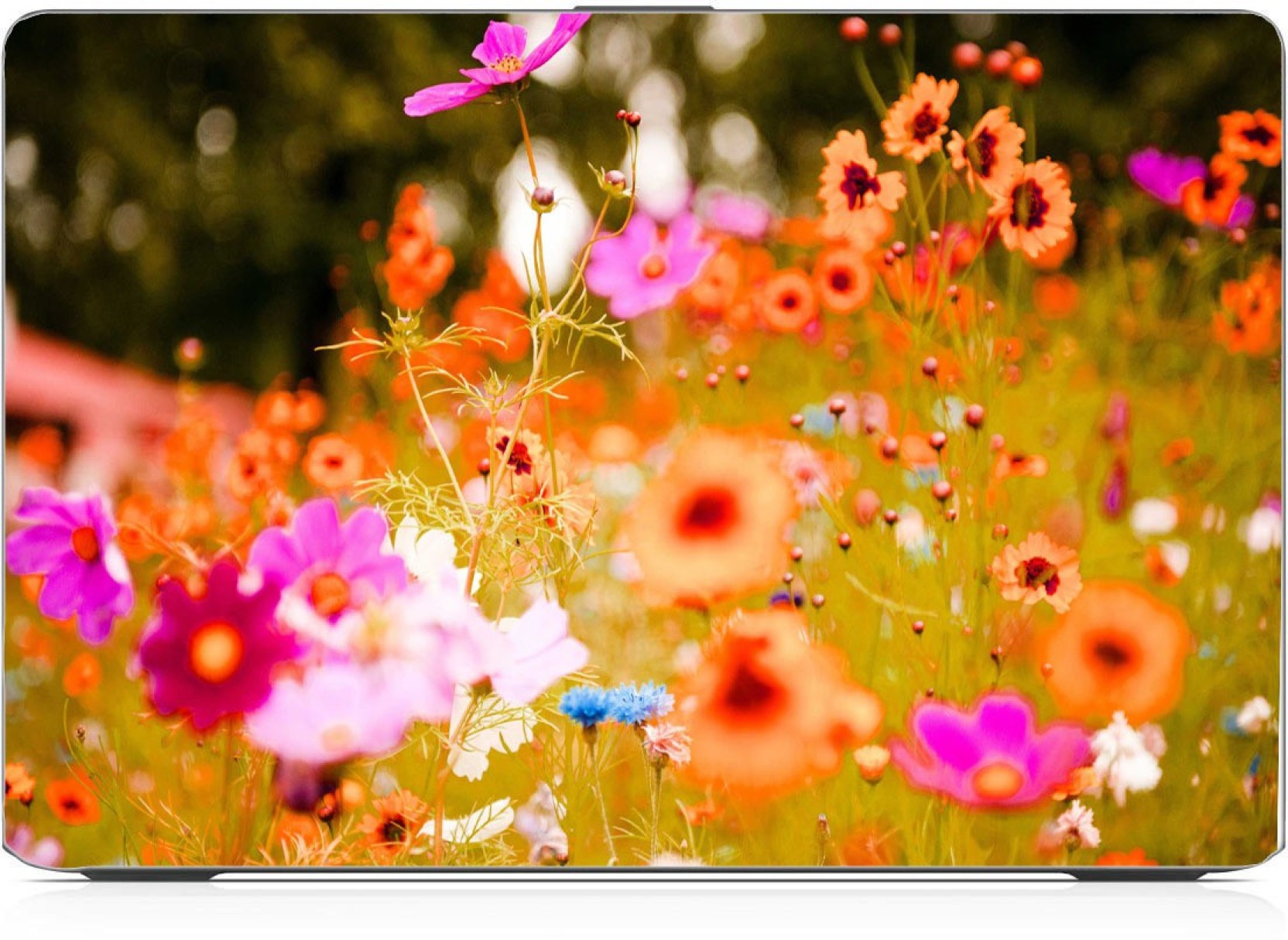 Flower Wallpaper For Laptop - HD Wallpaper 