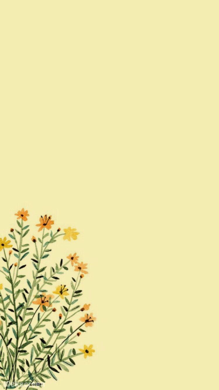 Pastel Yellow Aesthetic Background - HD Wallpaper 