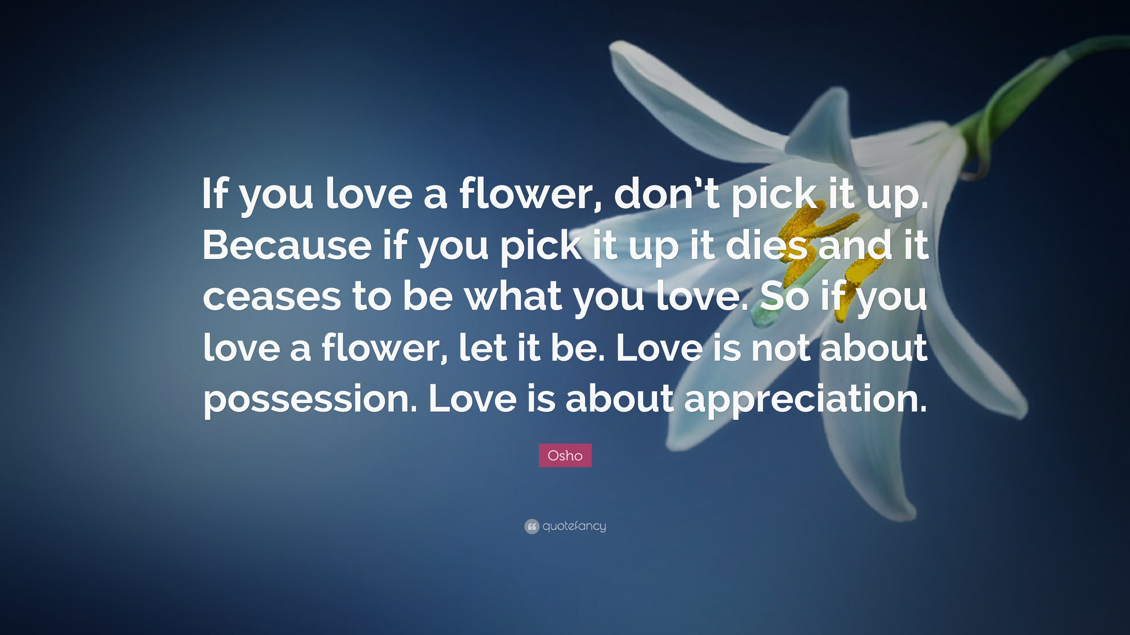 “if You Love A Flower, Don’t Pick It Up - God Is Like A Flower - HD Wallpaper 