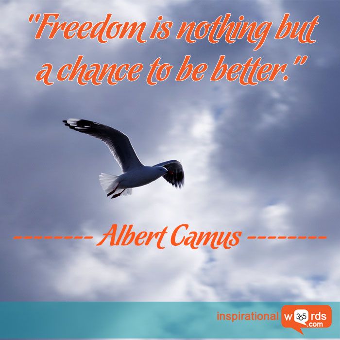 Tandoori - HD Wallpaper 