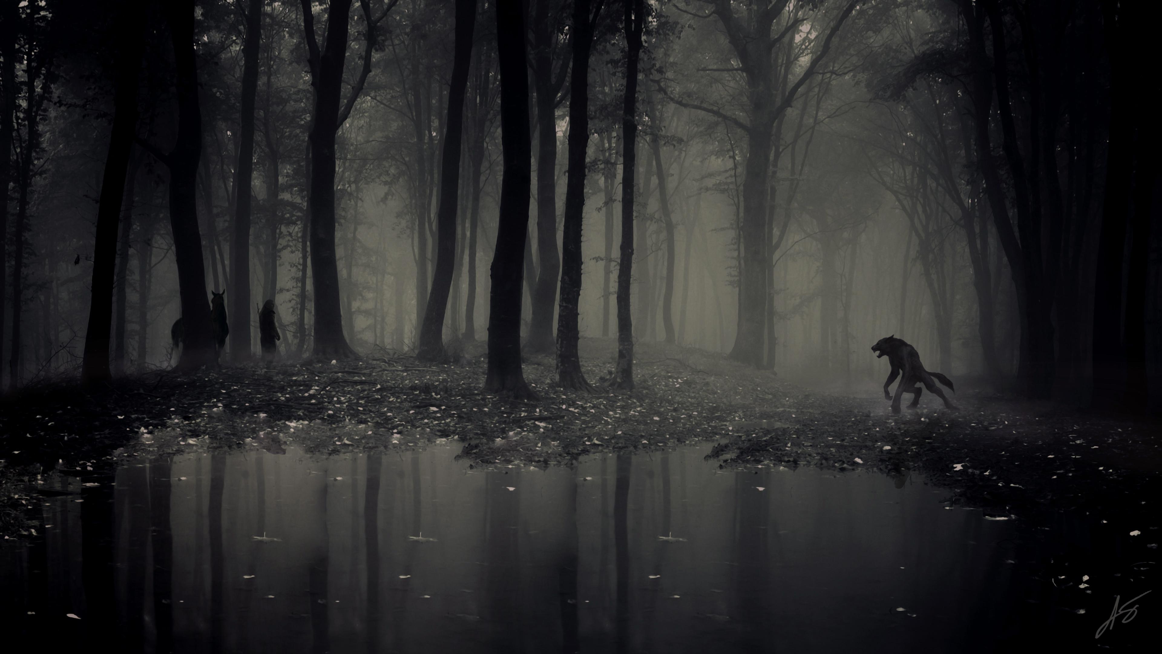 Monsters And Men Wallpaper - Dark Forest - HD Wallpaper 