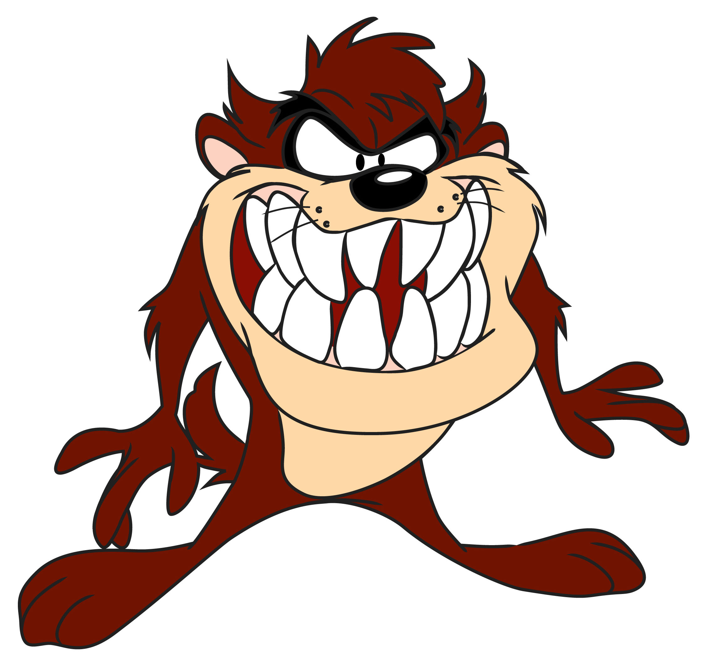 Images Of Taz - Tasmanian Devil Looney Tunes - HD Wallpaper 