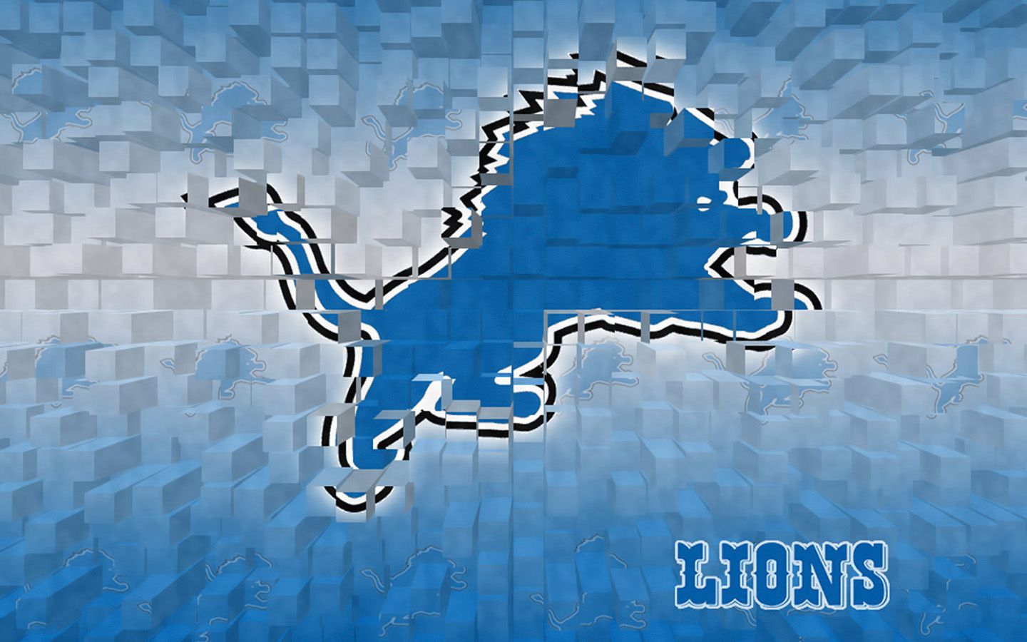 Detroit Lions Wallpaper 2011 - HD Wallpaper 