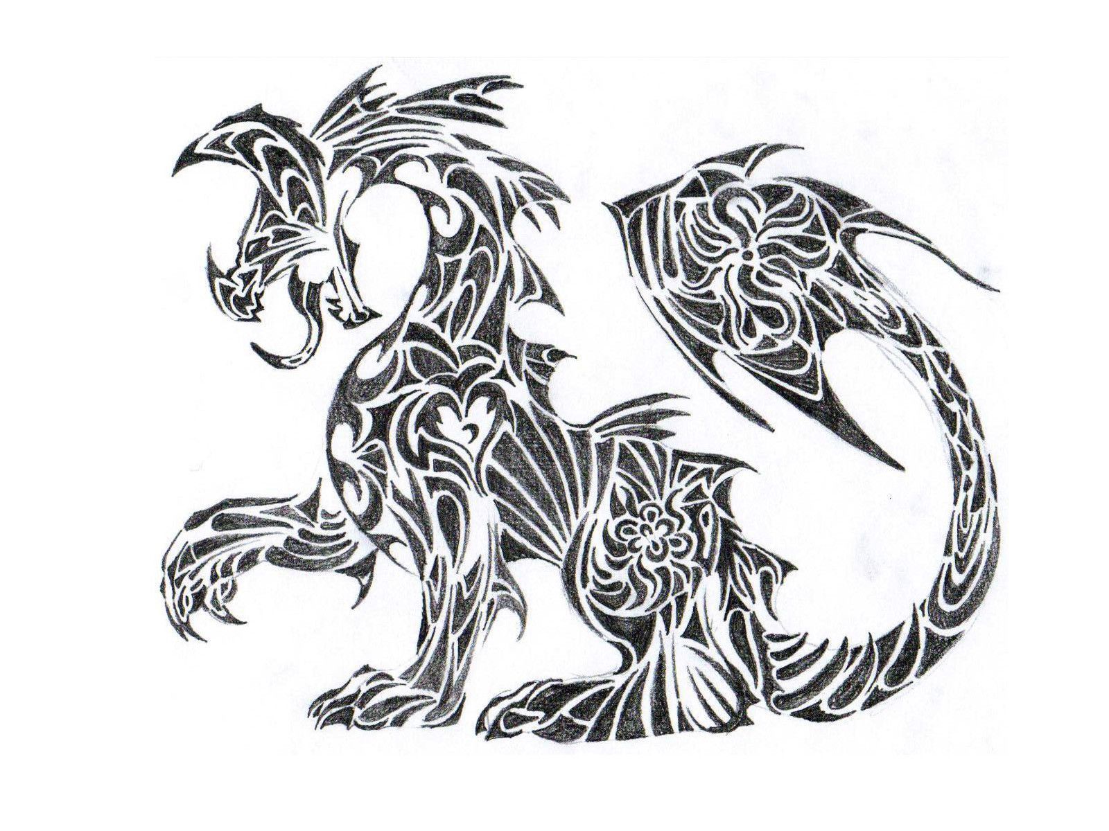 Dragon - HD Wallpaper 