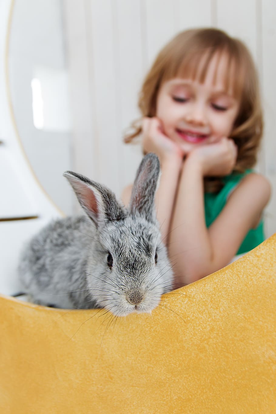 Rabbit, Hare, Baby, Girl, Studio, Toy, Beautiful, Cute, - Rabbit - HD Wallpaper 
