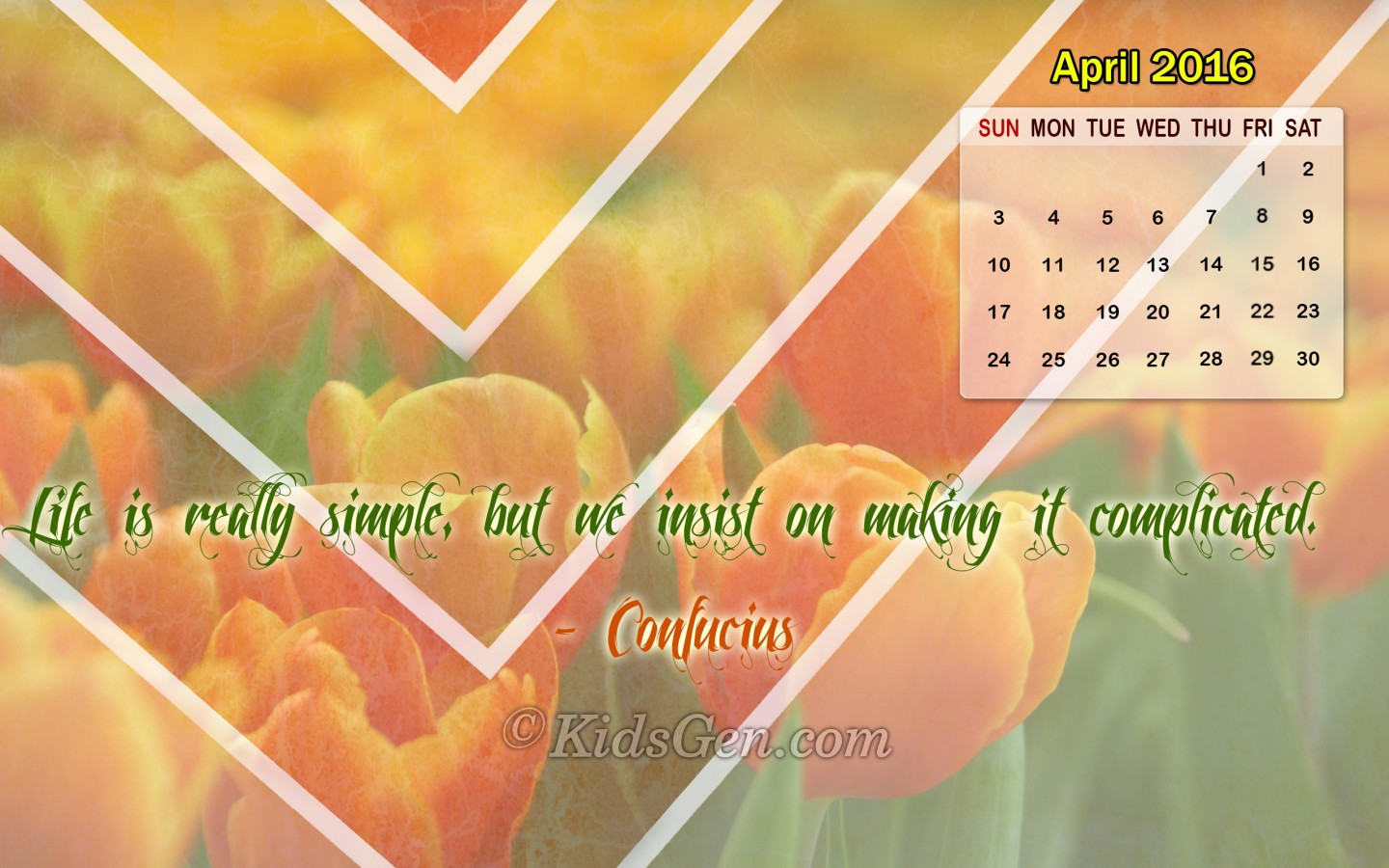 Flor Nacional De Holanda - HD Wallpaper 