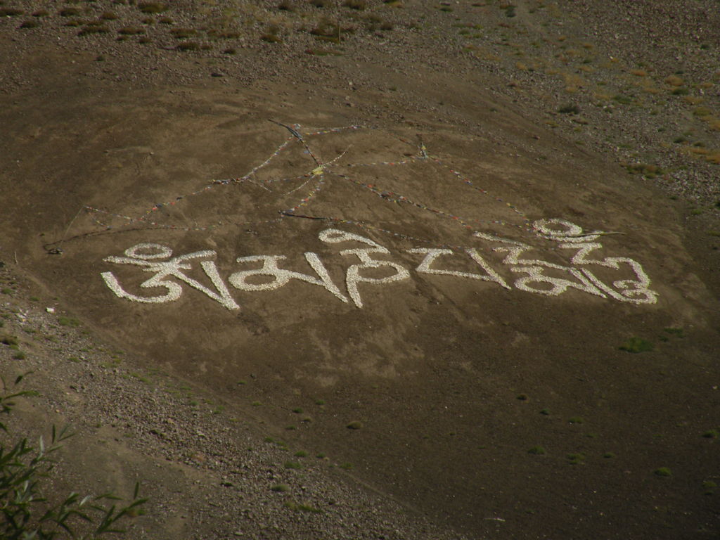 Grass - HD Wallpaper 