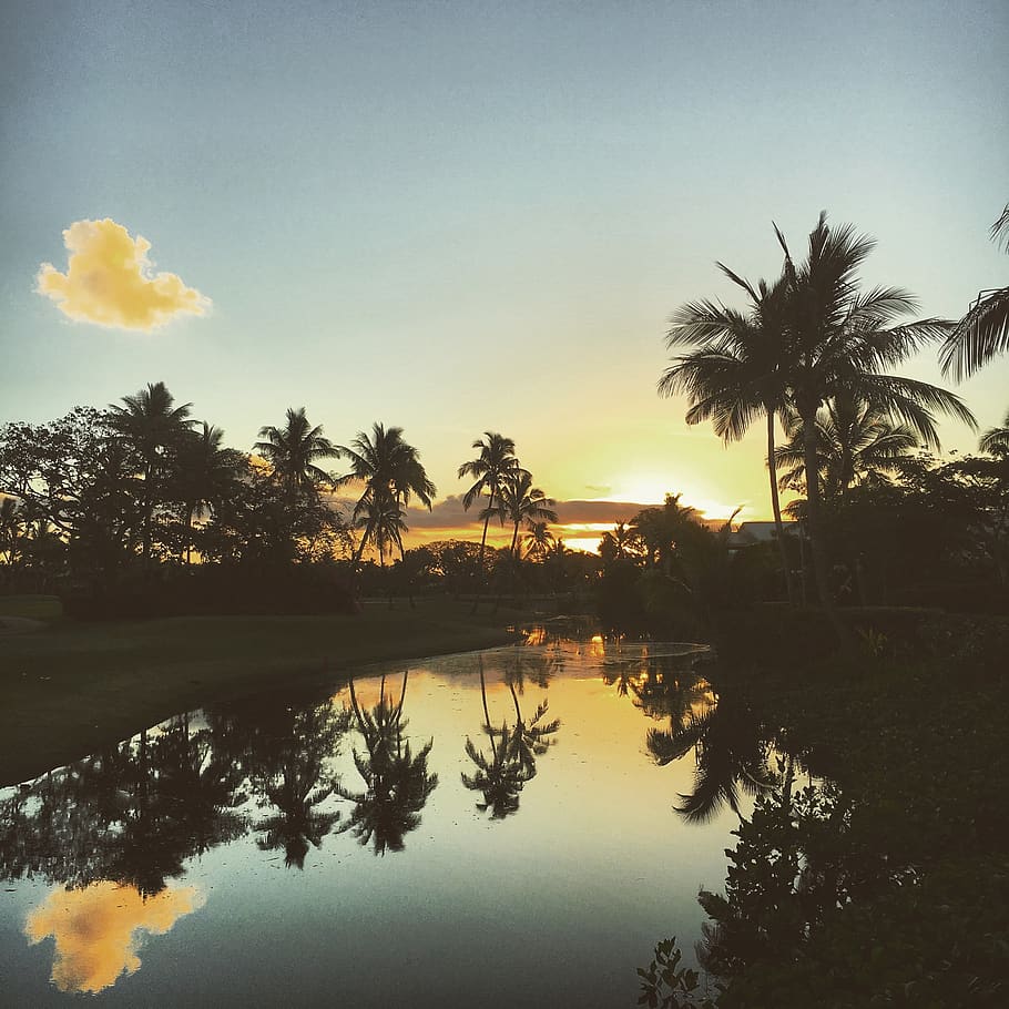 Fiji, Explore, Adventure, Lake, Ocean, Beach, Palm, - Reflection - HD Wallpaper 