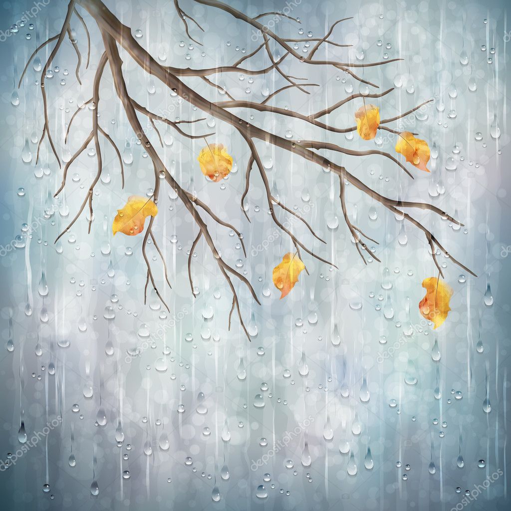 Autumn Rain Background - HD Wallpaper 