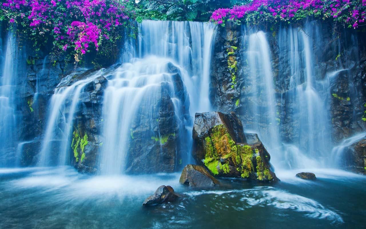 Animated Waterfall - HD Wallpaper 