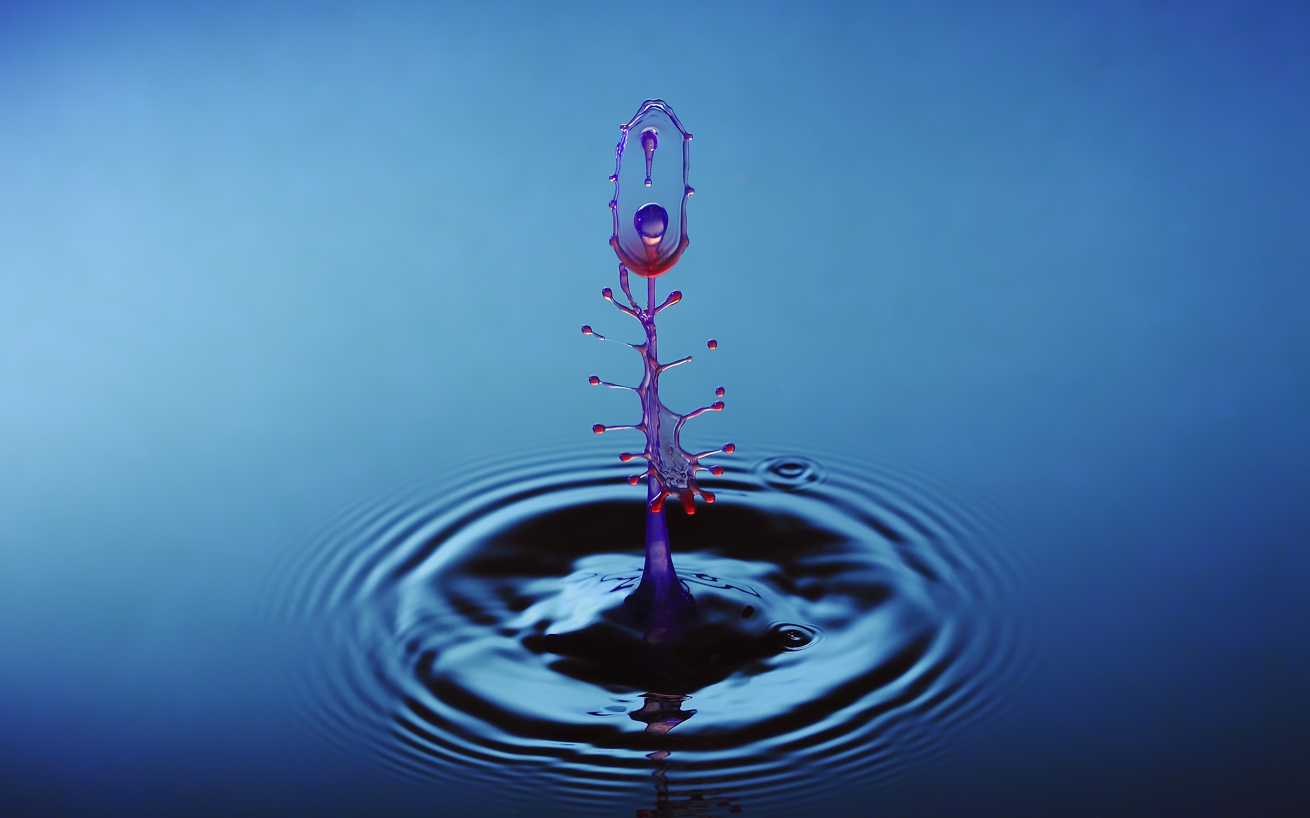 Live Water Drop Hd Wallpaper - Beautiful Water Pictures Hd - HD Wallpaper 