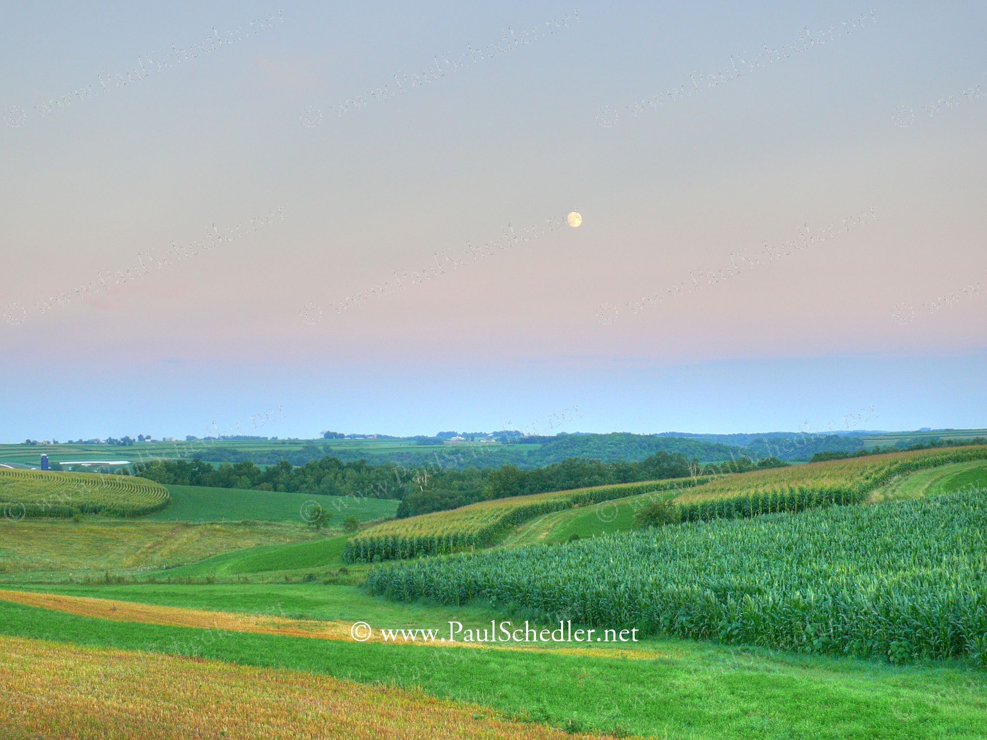 Wallpaper Directory, Um/61 - Field - HD Wallpaper 