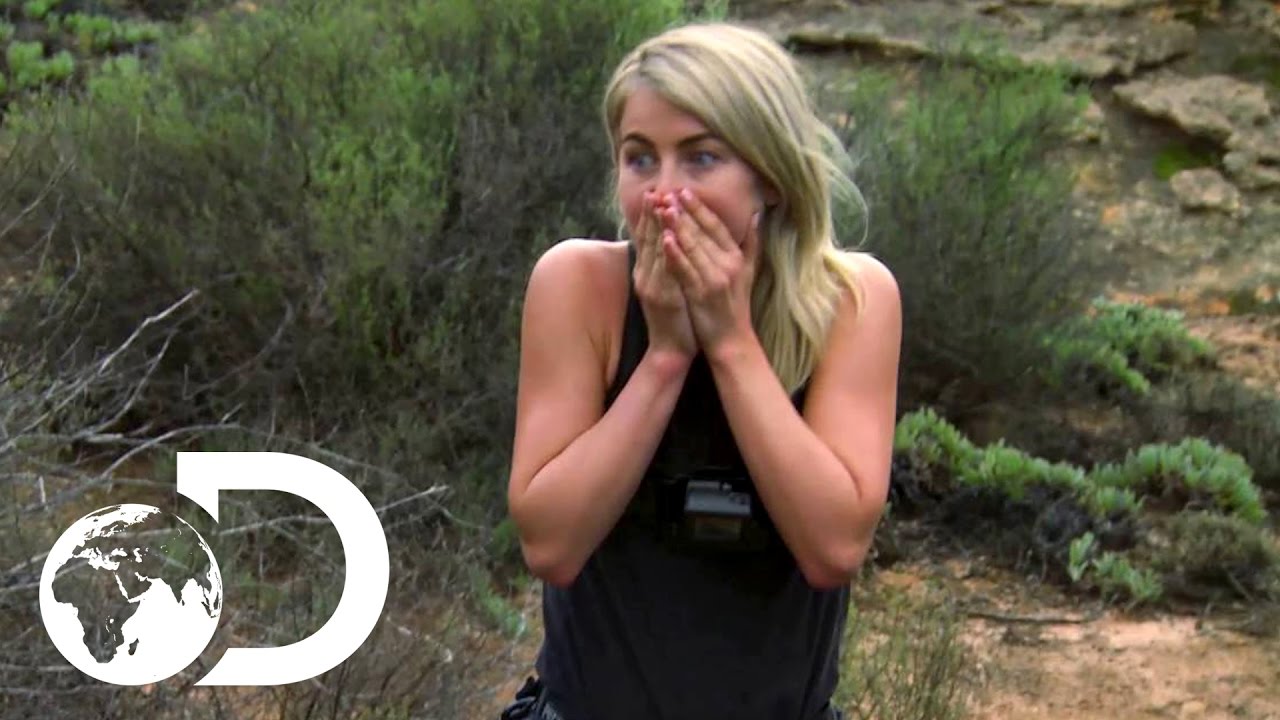 Julianne Hough Running Wild With Bear Grylls - HD Wallpaper 