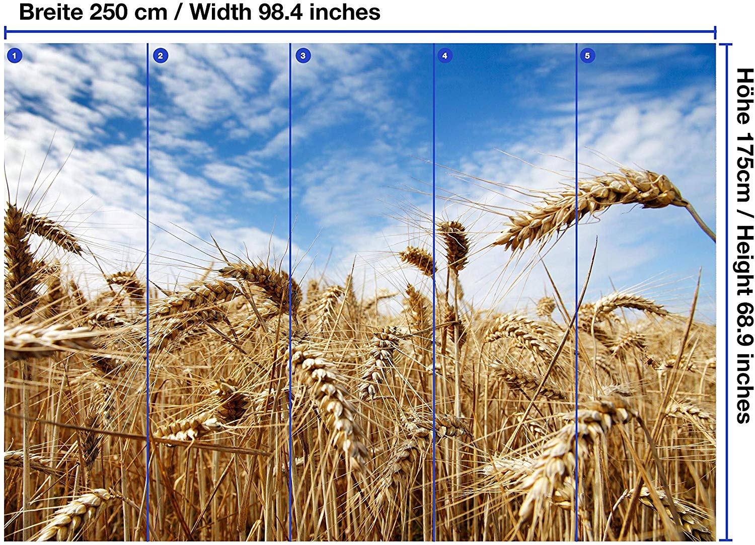 Fototapete Kornfeld - HD Wallpaper 