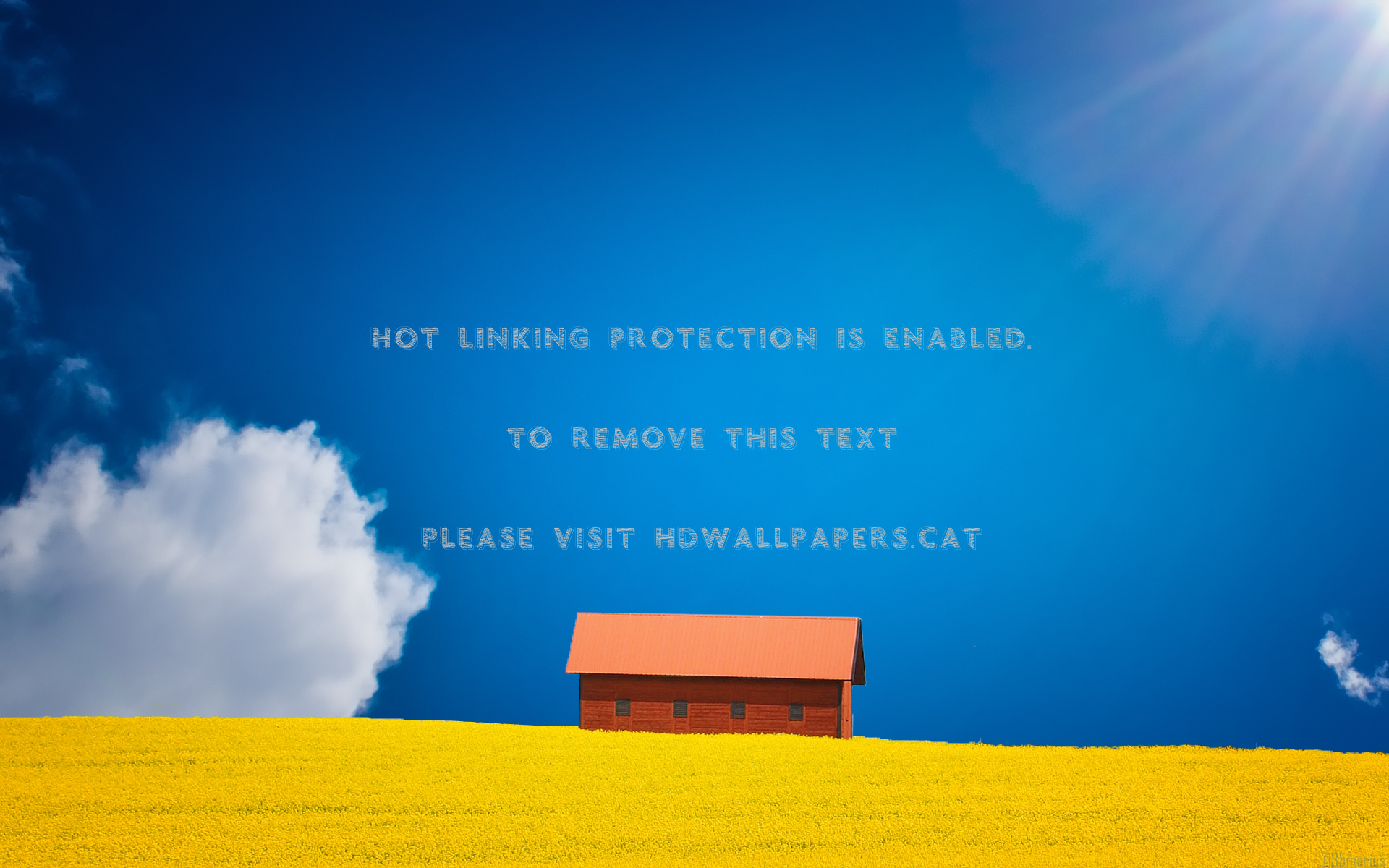 No Body Home Rays Corn Field Love Sun Rape - Ppt - HD Wallpaper 