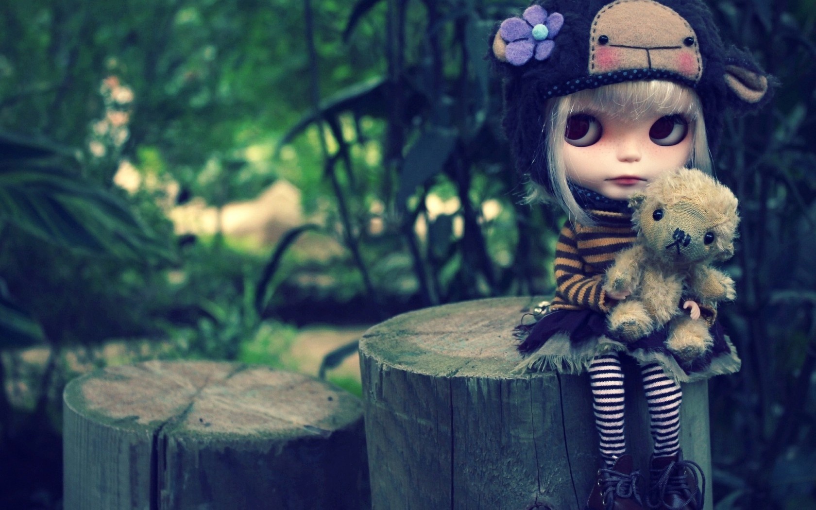 Best Teddy Bear Hd - HD Wallpaper 