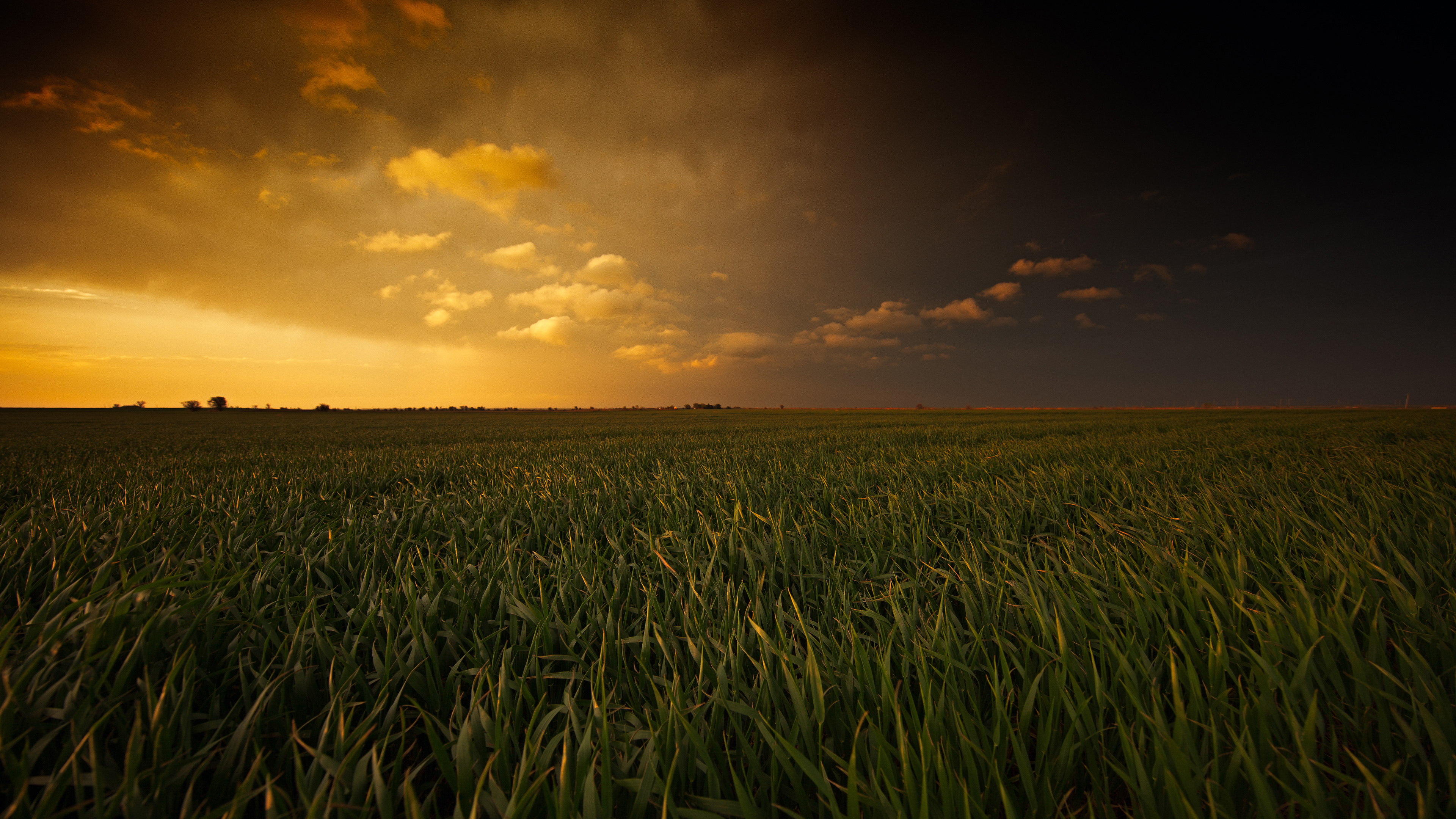 Sunset Fields 4k - Plains Wallpaper 4k - HD Wallpaper 