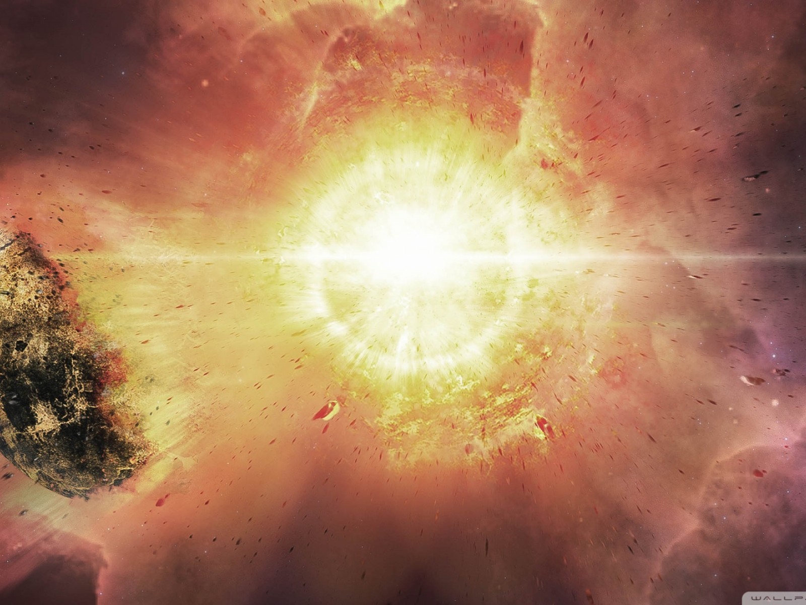 Wallpaper - HD Wallpaper 