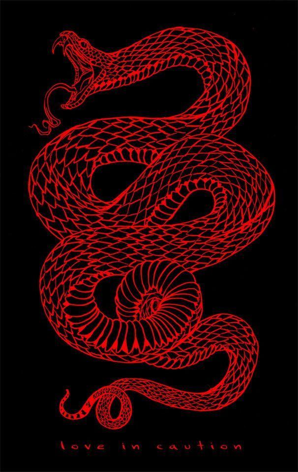 Love In Caution Snake - HD Wallpaper 