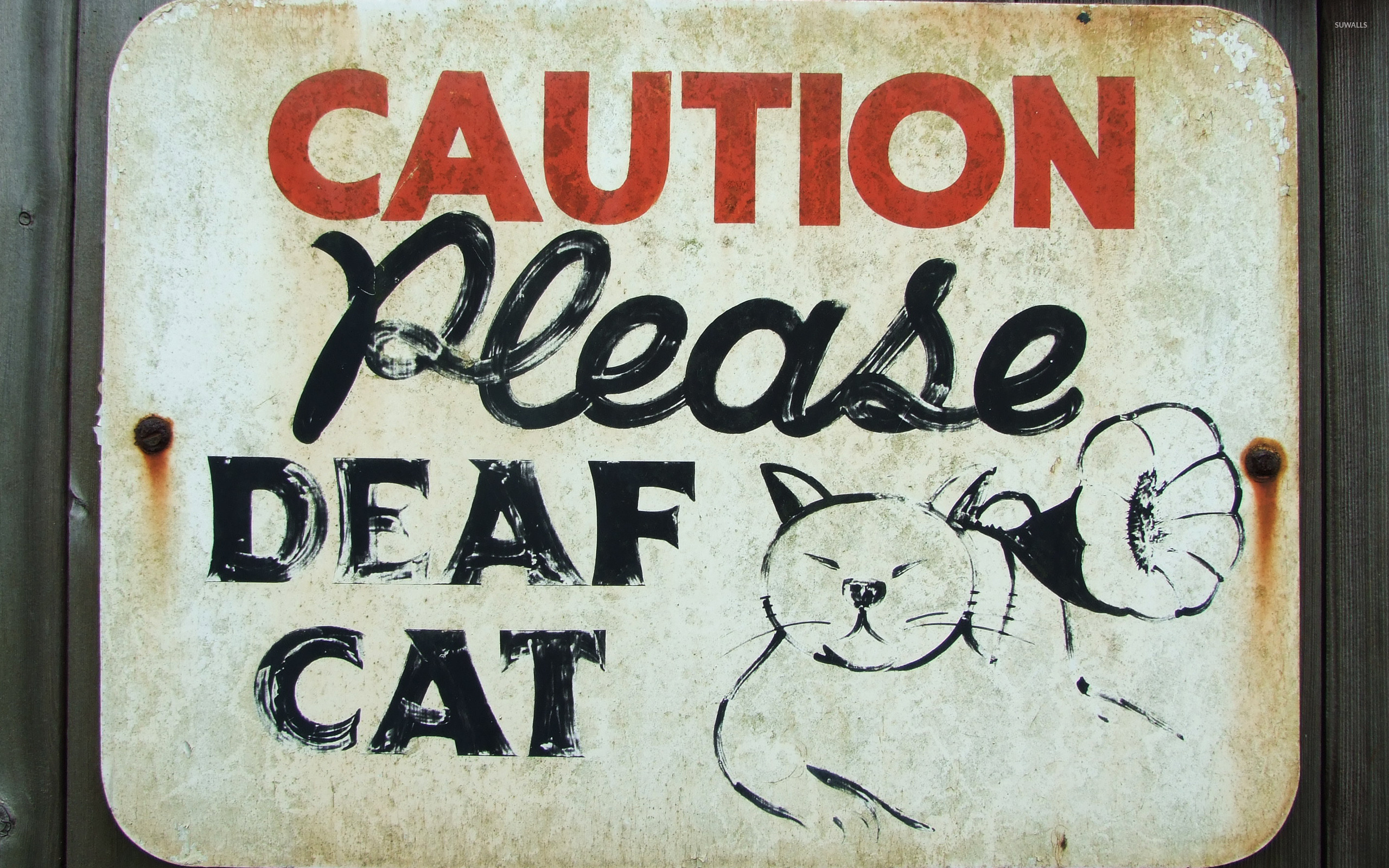 Caution Deaf Cat - HD Wallpaper 