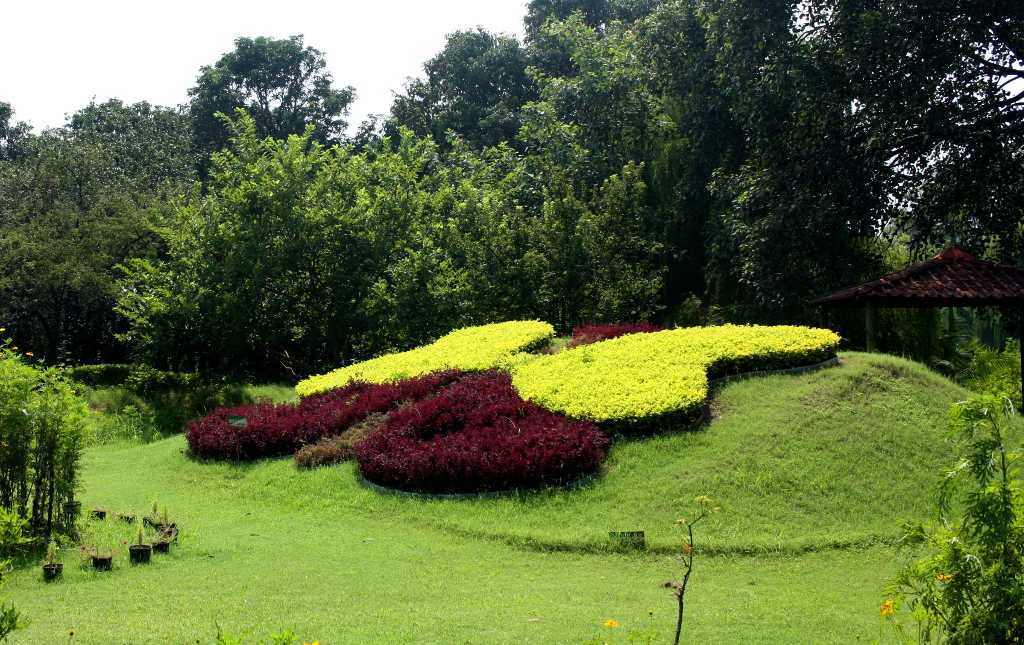 Butterfly Park Chandigarh - HD Wallpaper 