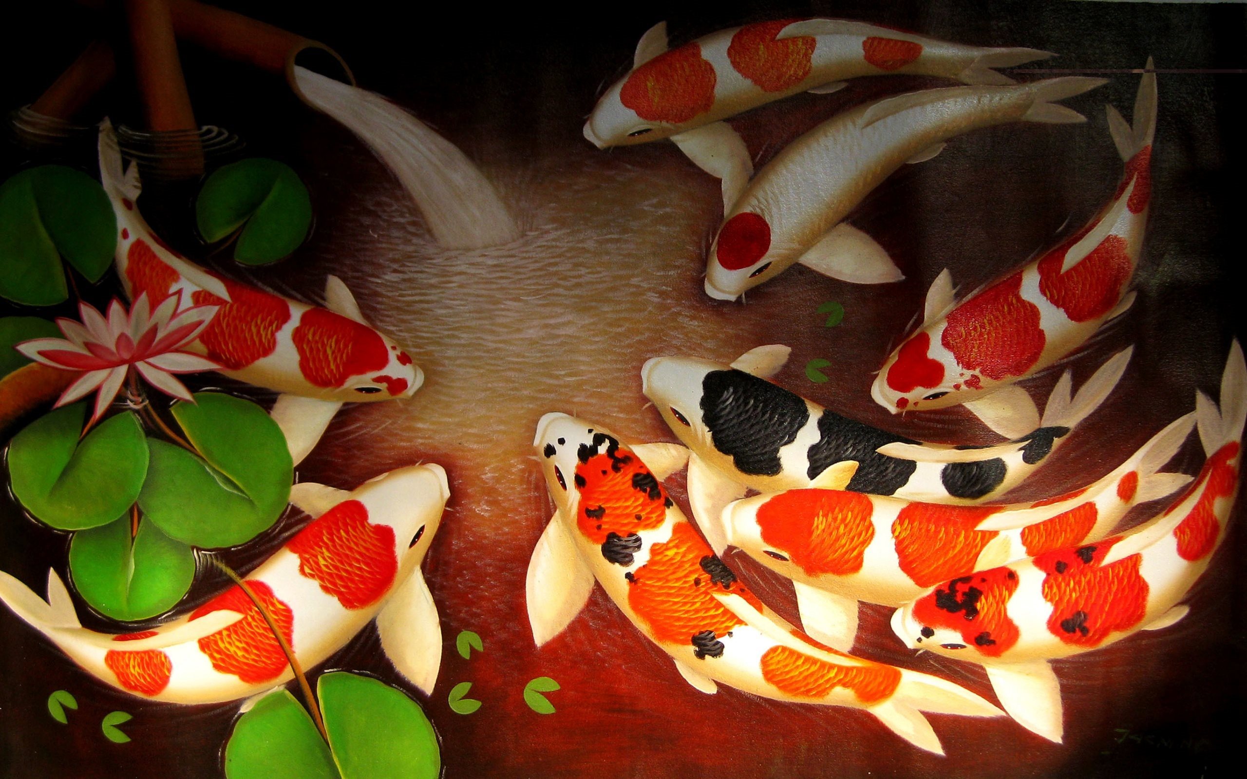 Brocade Carp, Koi Fish, Colored Carp, Japan, Koi - Koi Fish High Resolution - HD Wallpaper 