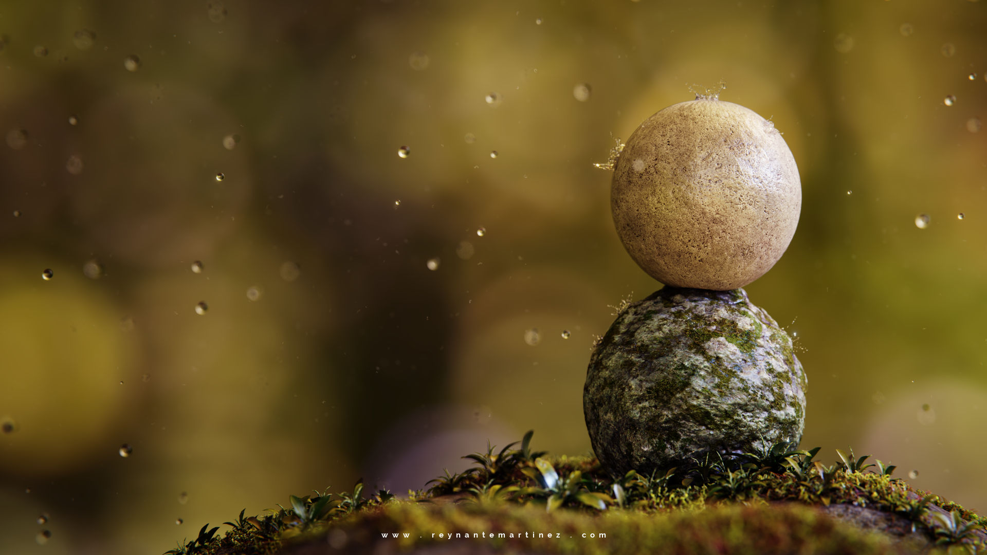 Macro Photography - HD Wallpaper 