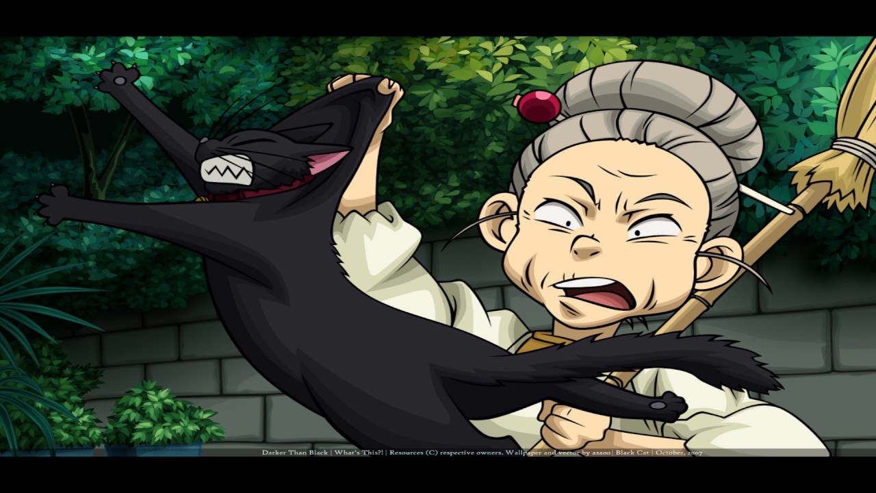 Darker Than Black Mao Cat - HD Wallpaper 