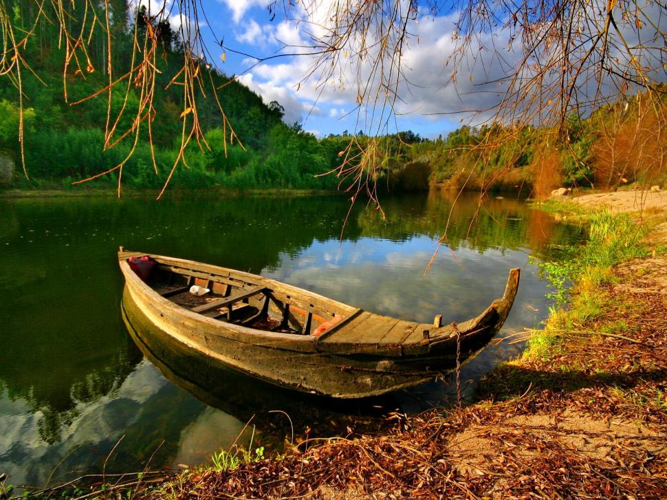 Boat Canoe Pond Shore Hd Wallpaper,nature Wallpaper,boat - Boat In The Forest - HD Wallpaper 