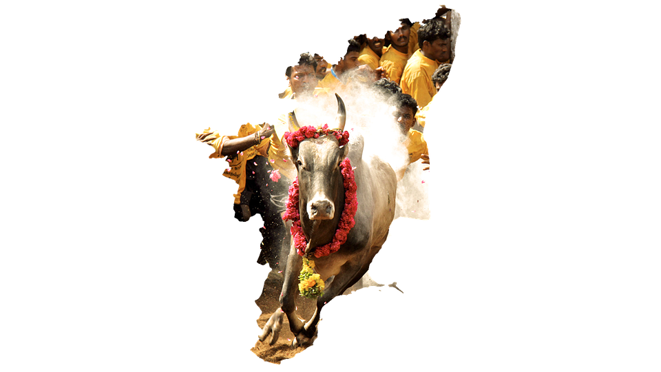 Thumb Image - HD Wallpaper 