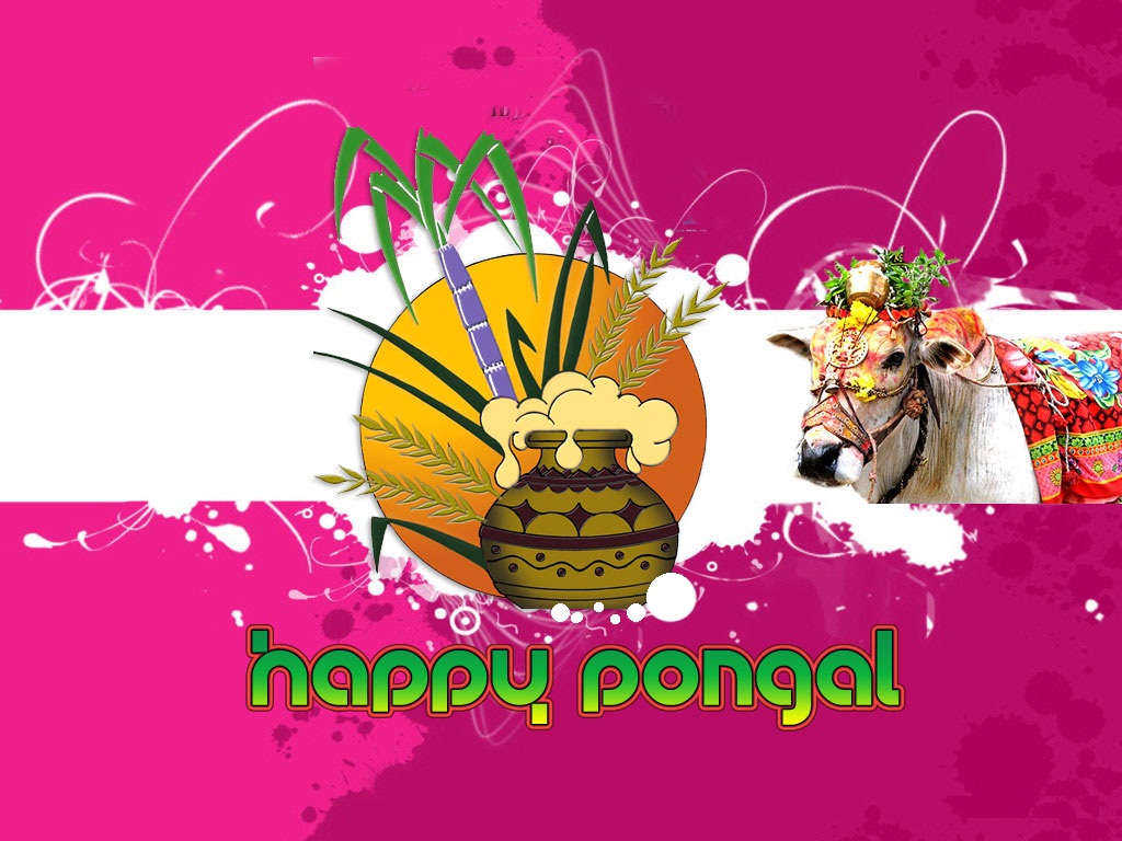 Happy Mattu Pongal Background Hd Wallpaper - Happy Pongal Images Hd - HD Wallpaper 