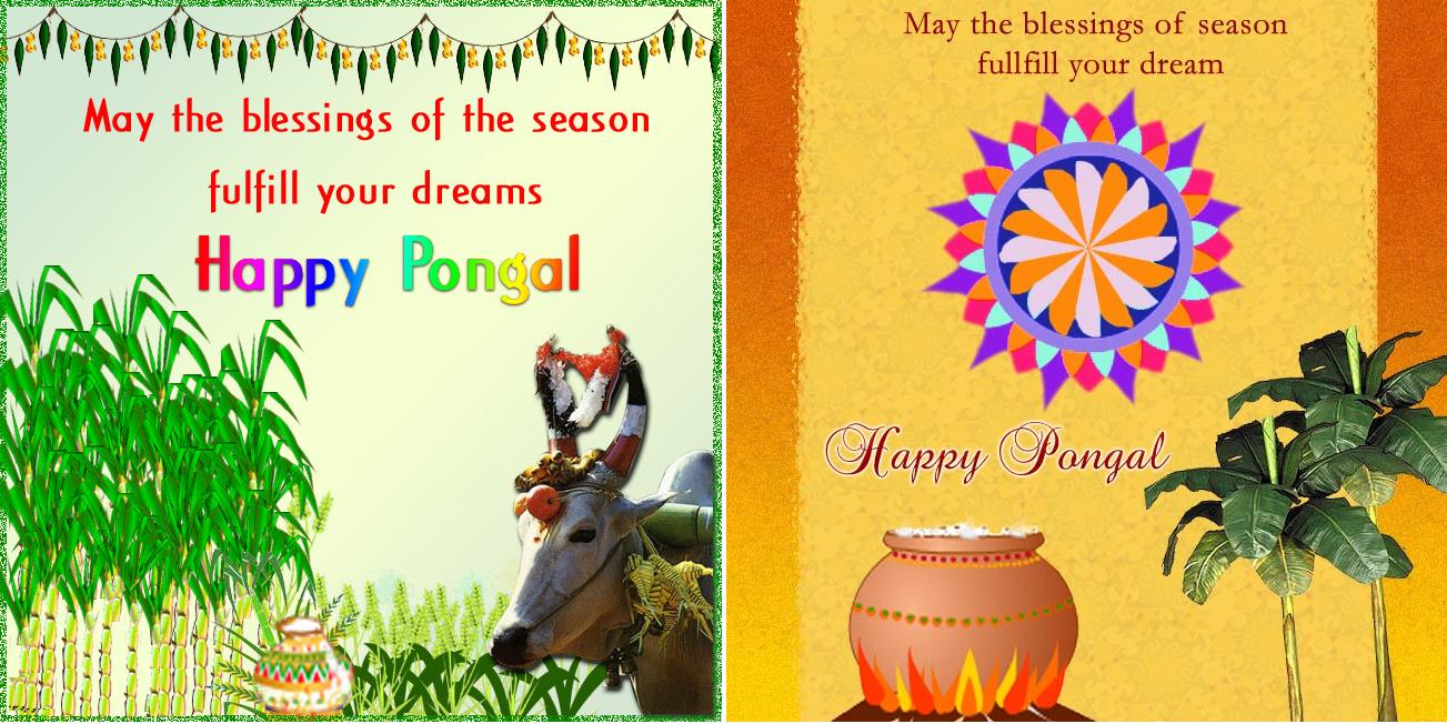 Good Morning Happy Pongal - HD Wallpaper 