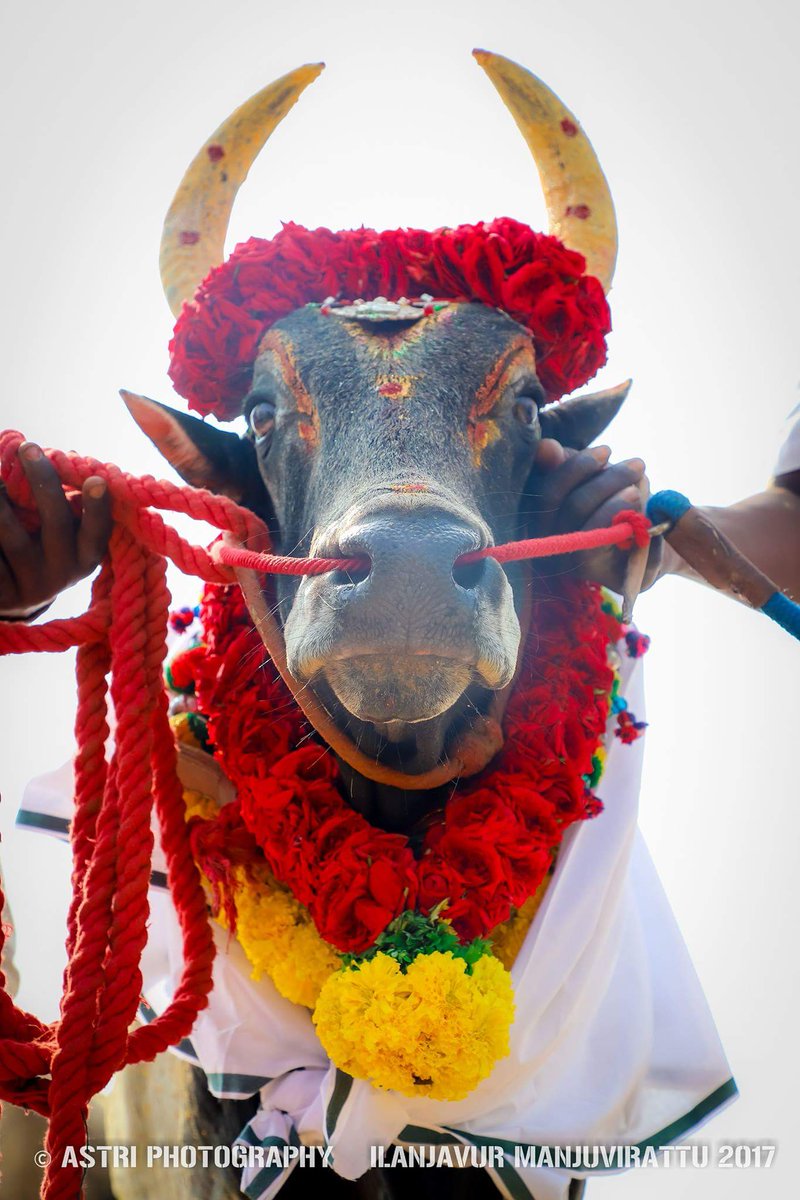 Ganesh Chaturthi - HD Wallpaper 