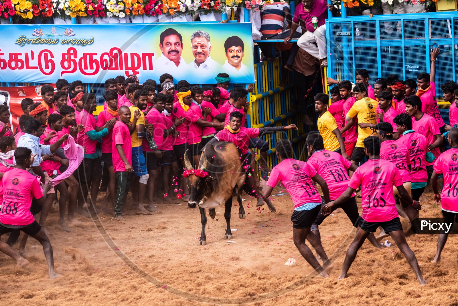 Sports Of Tamil Nadu - HD Wallpaper 