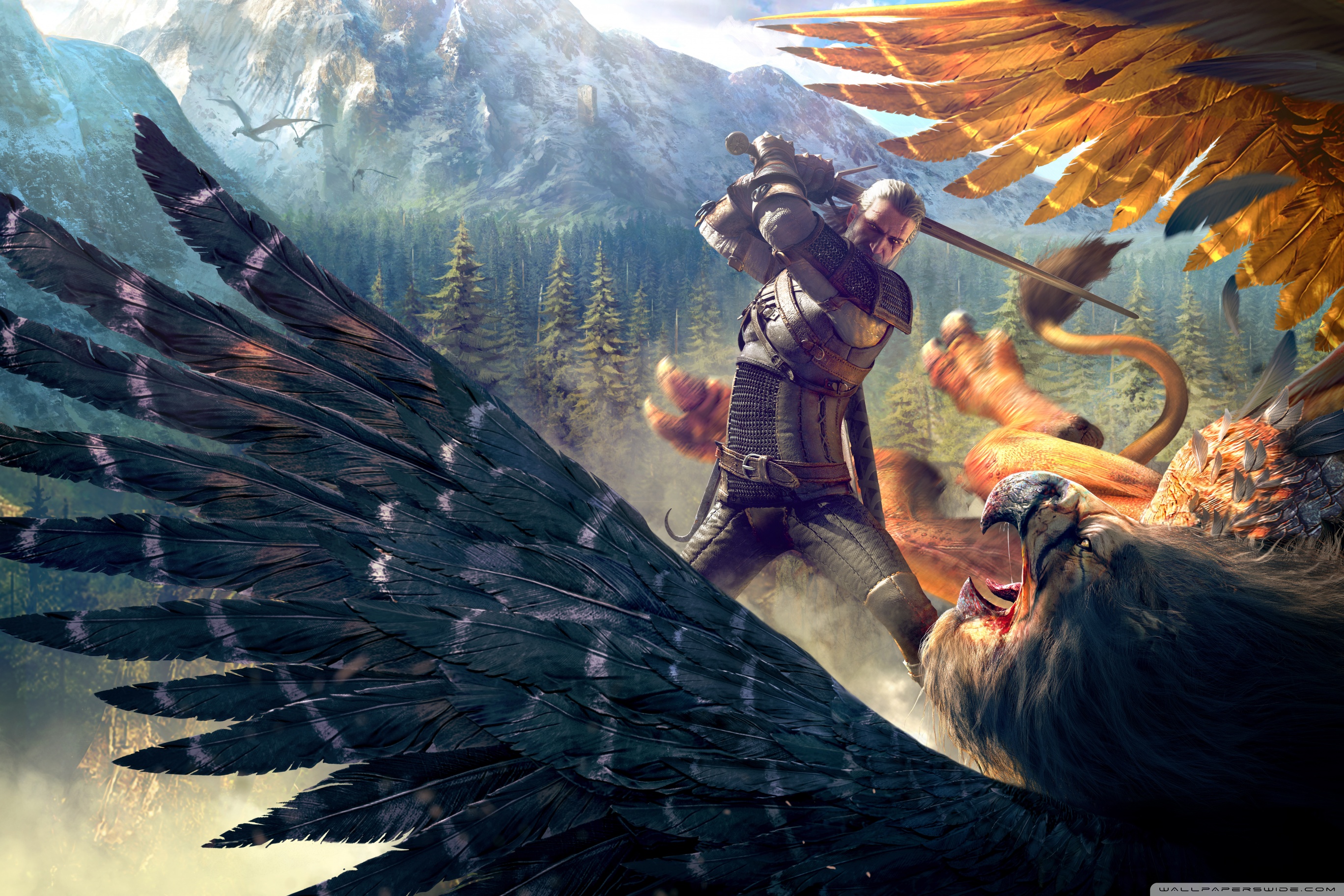 Witcher 3 Wallpaper 8k - HD Wallpaper 